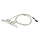 USB-A Dual External Port to Motherboard Port 24in 2x5 Pin Bracket Header Cable